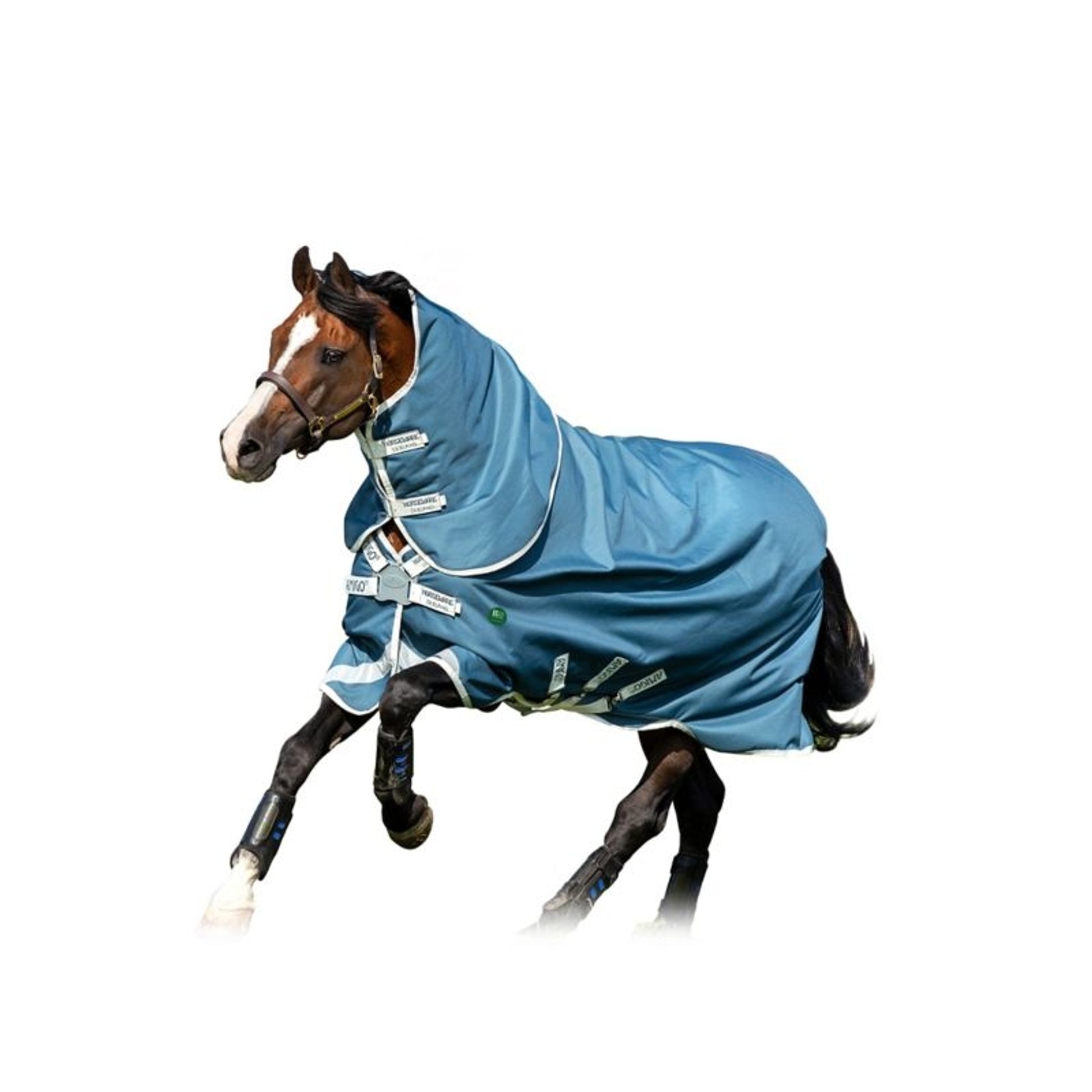 AmEco Bravo 12 Plus Turnout Sheet
