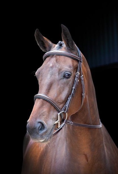 Velociti Hunter Bridle