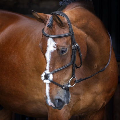 Velociti Figure 8 Bridle
