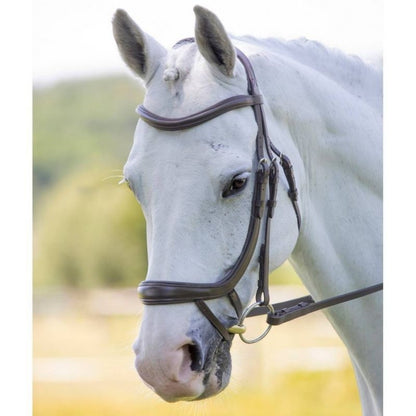 Velociti Ergonomic Curved Flash Bridle