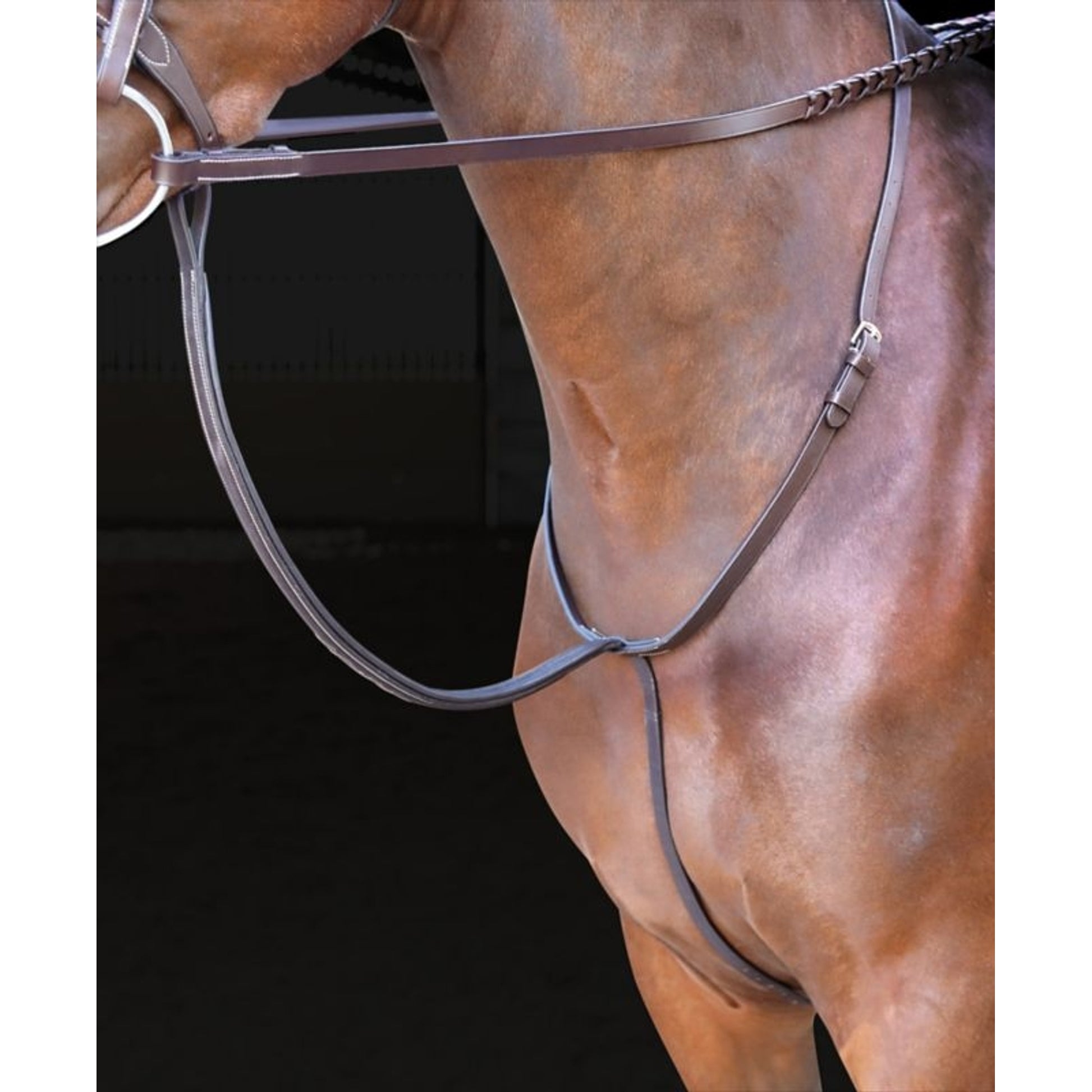 Velociti Running Martingale