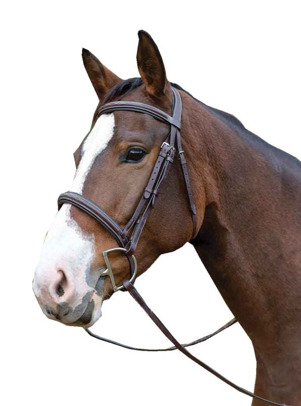 Shires Avignon Ocala Bridle