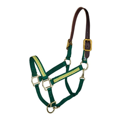 Perris Exclusive Safety Halter