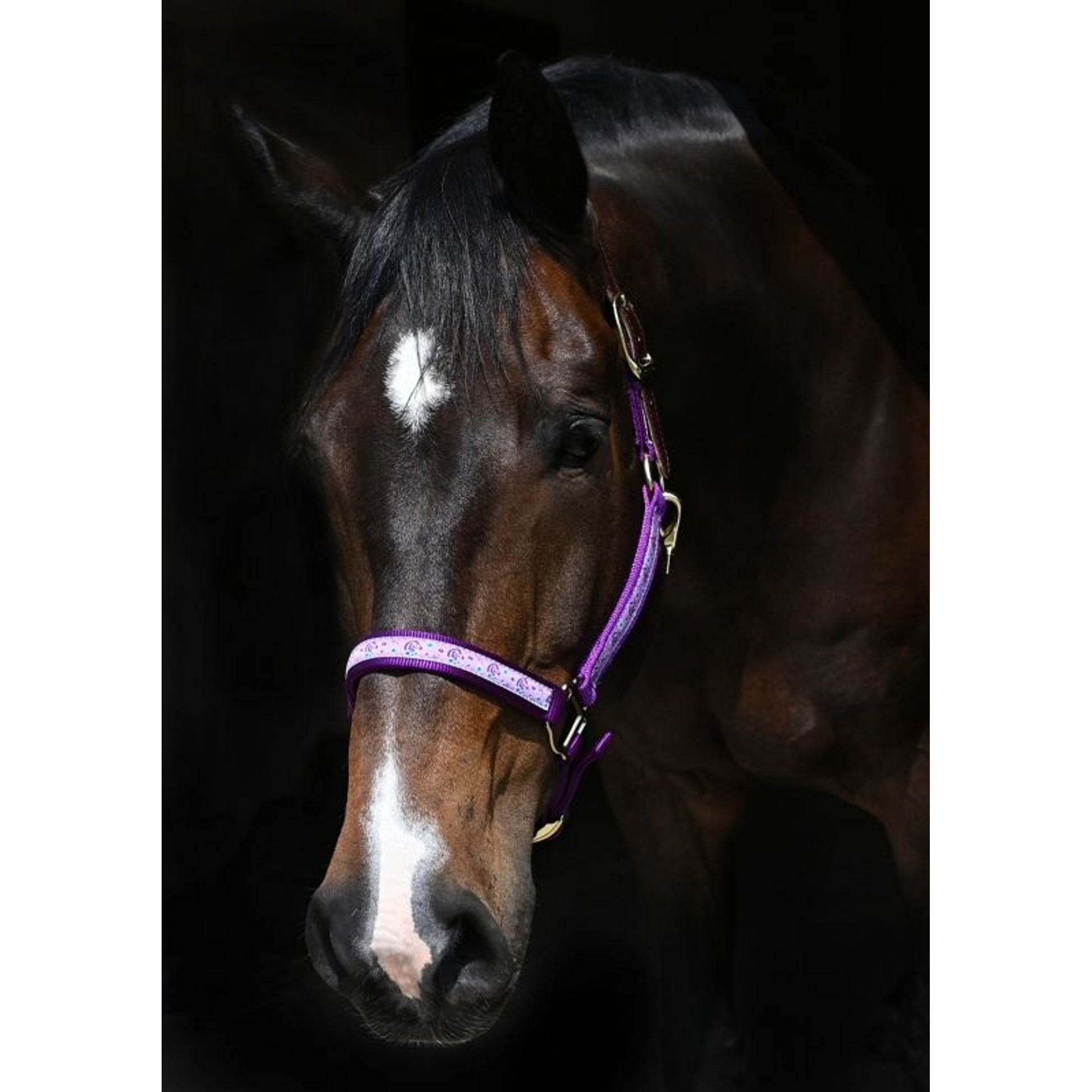 Perris Exclusive Safety Halter