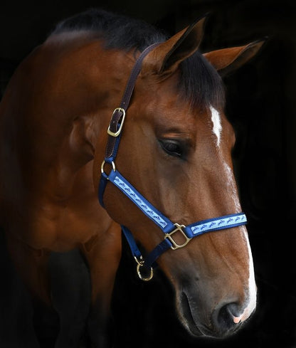 Perris Exclusive Safety Halter