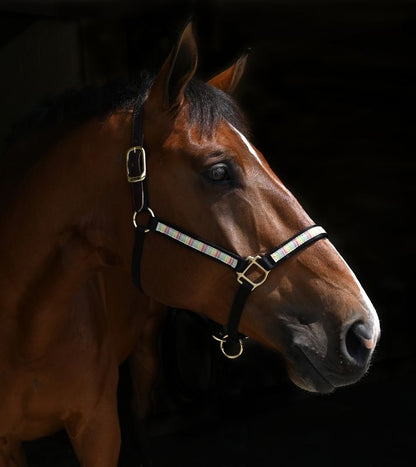 Perris Exclusive Safety Halter