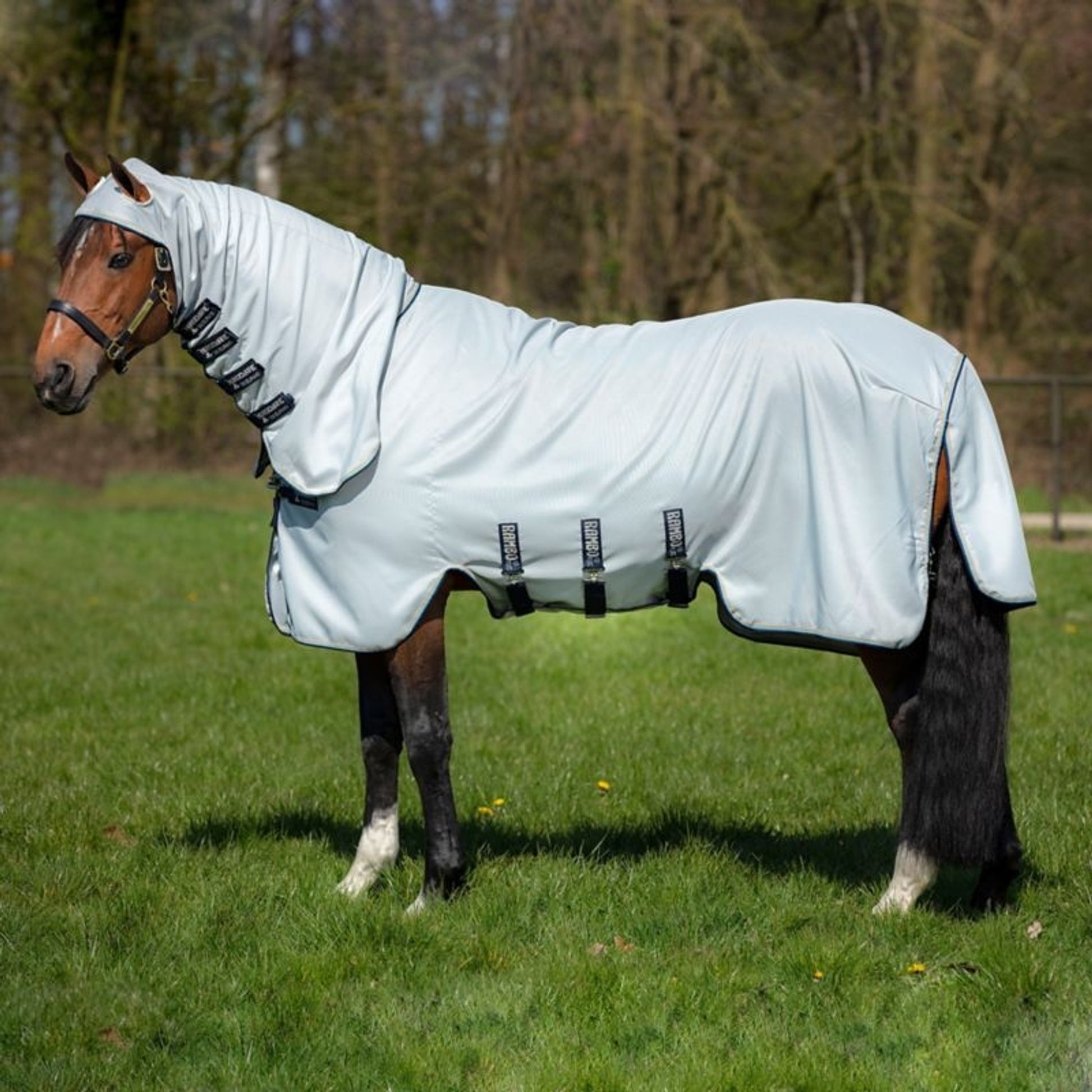 Rambo Hoody
