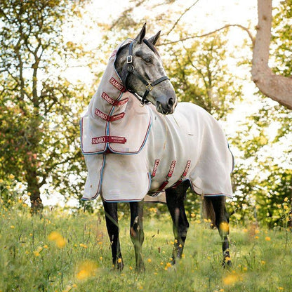 Amigo Summer Sheet Plus