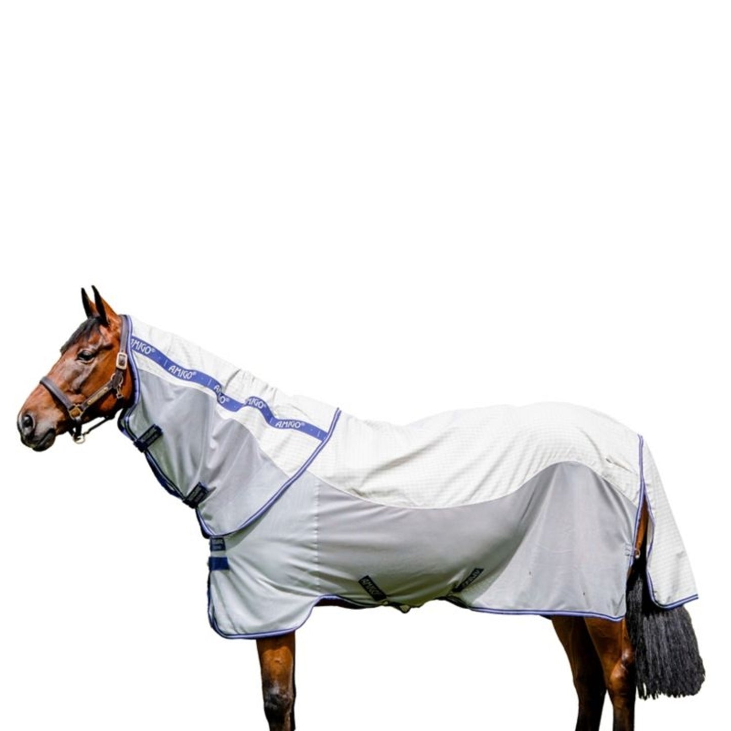 TE036036_P_WO.jpg