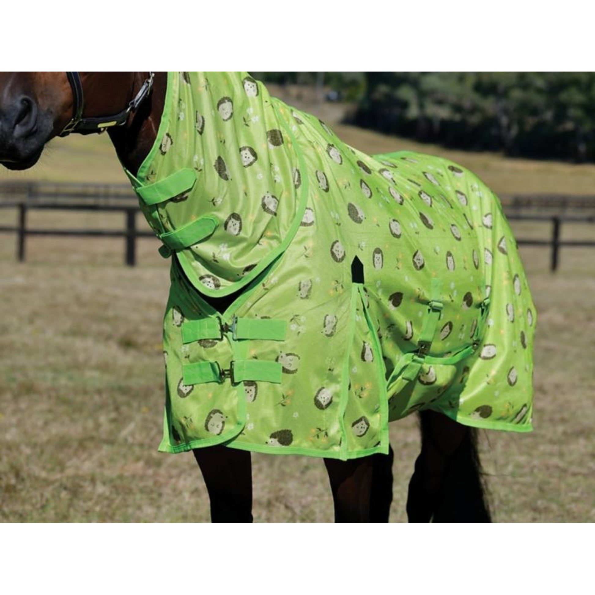 Saxon Mesh Fly Sheet Standard Neck