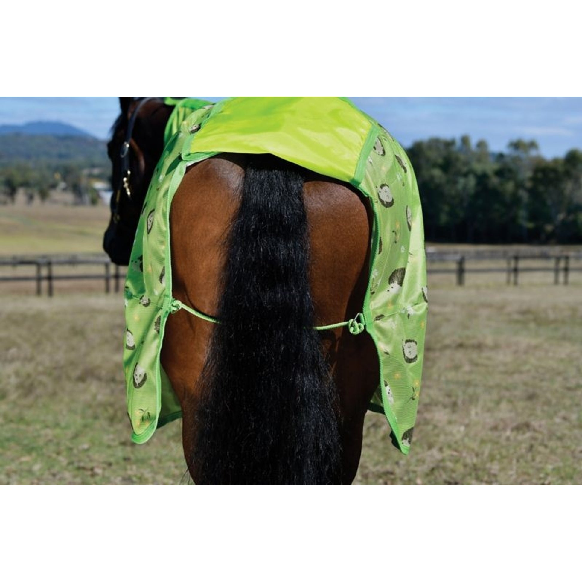 Saxon Mesh Fly Sheet Standard Neck