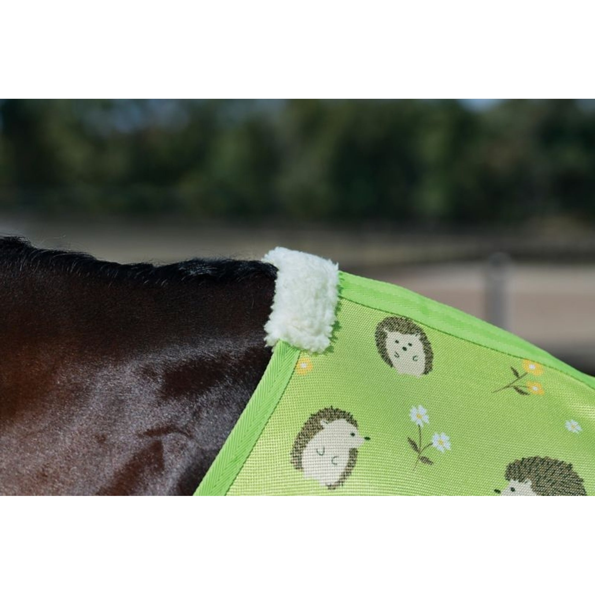 Saxon Mesh Fly Sheet Standard Neck