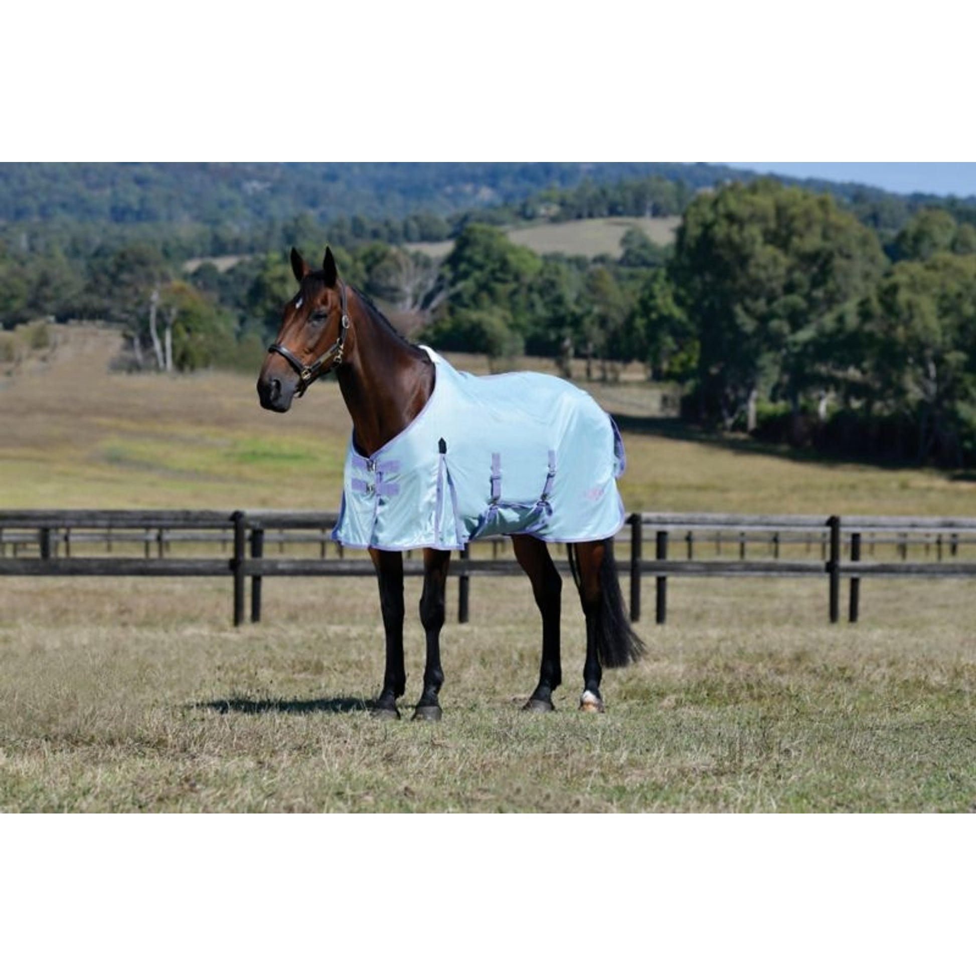 Saxon Mesh Fly Sheet Standard Neck