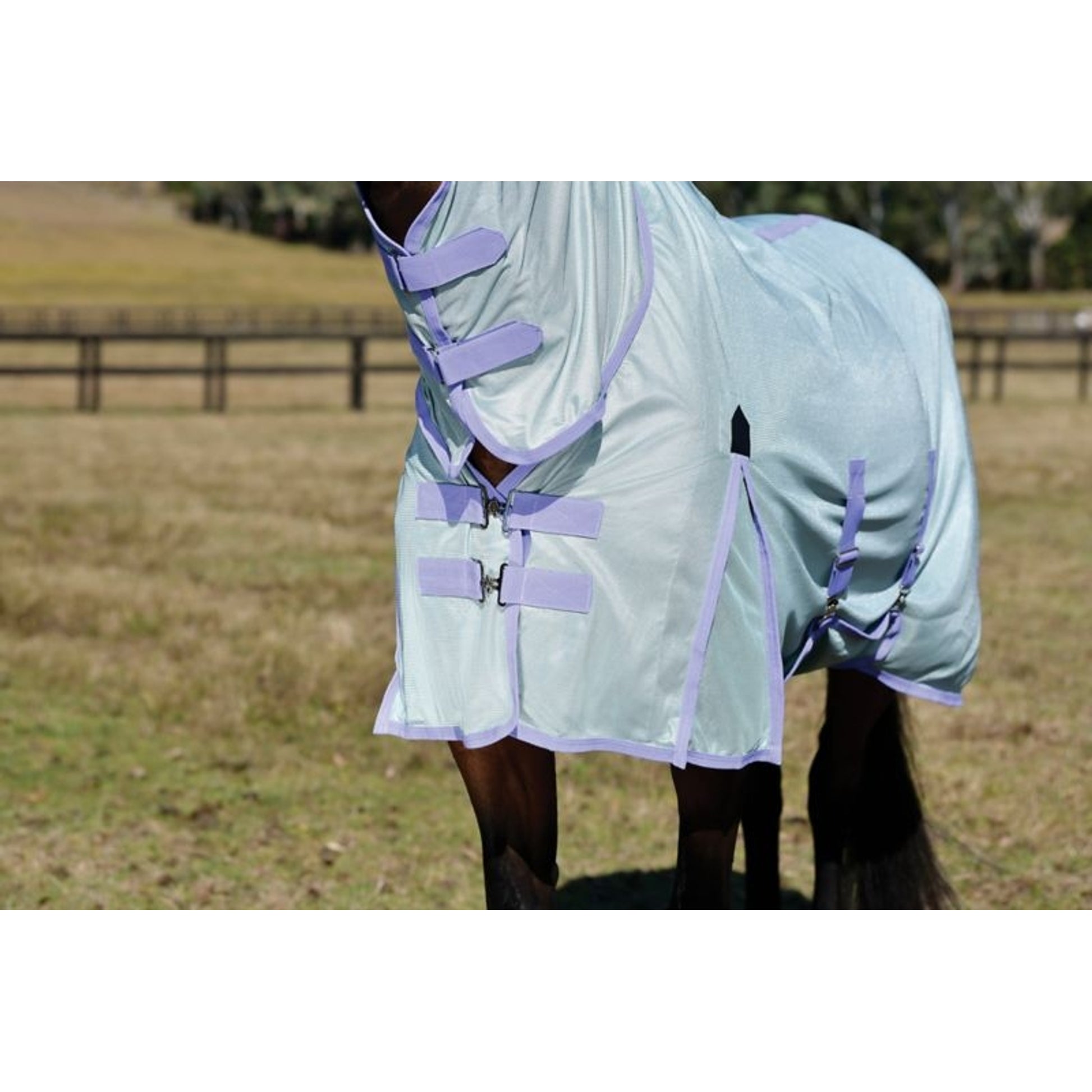 Saxon Mesh Fly Sheet Standard Neck