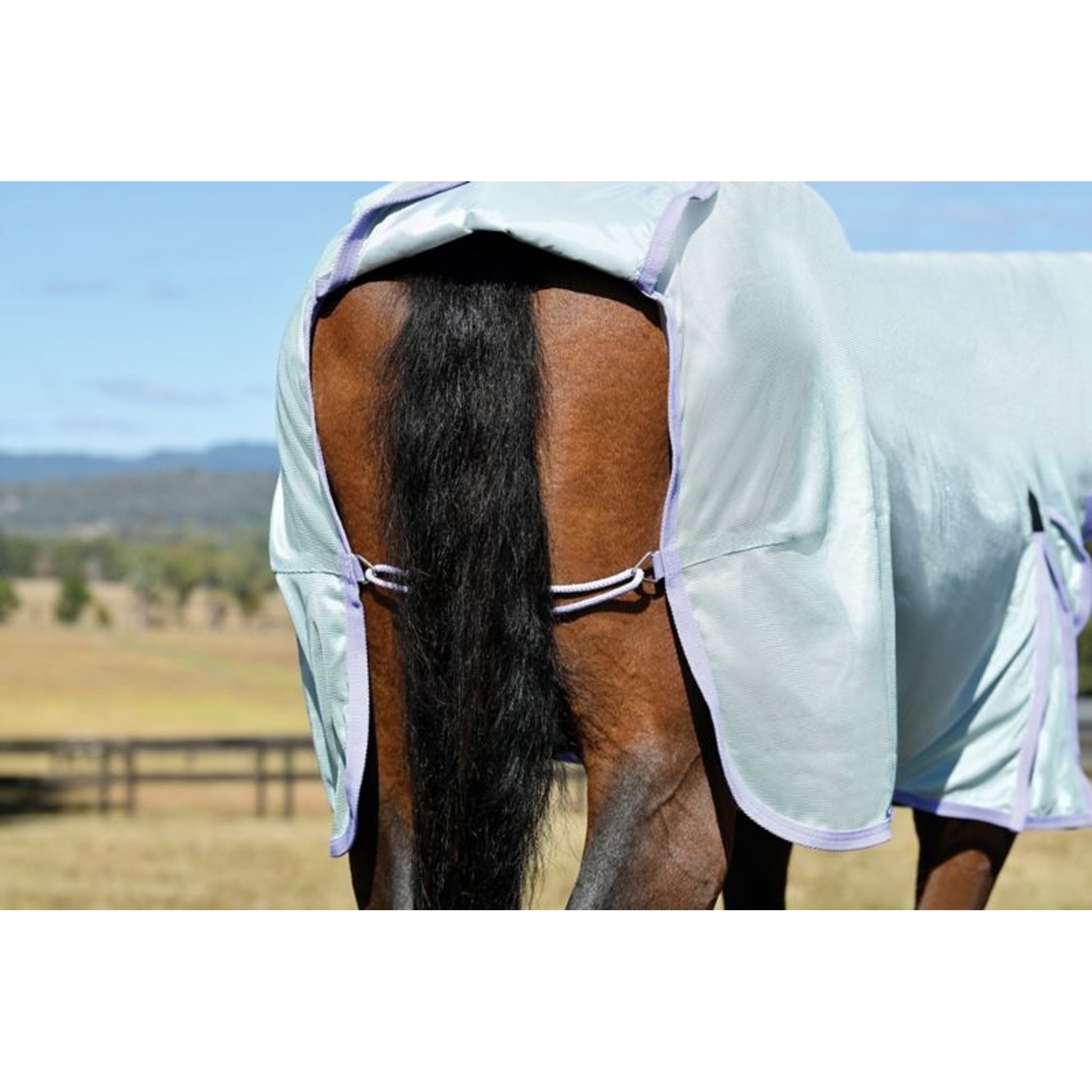 Saxon Mesh Fly Sheet Standard Neck