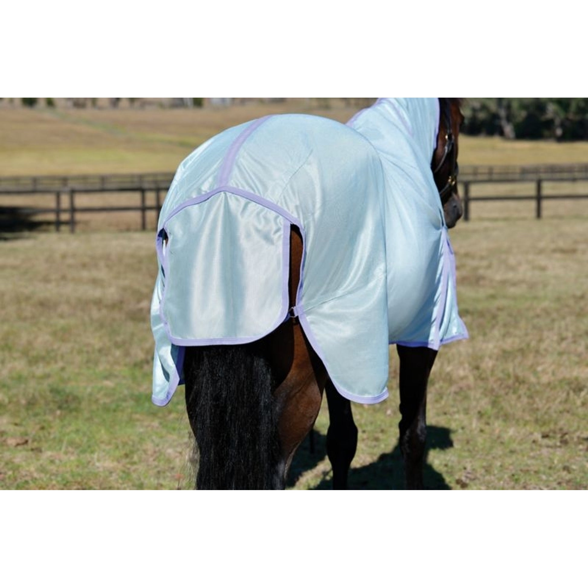 Saxon Mesh Fly Sheet Standard Neck