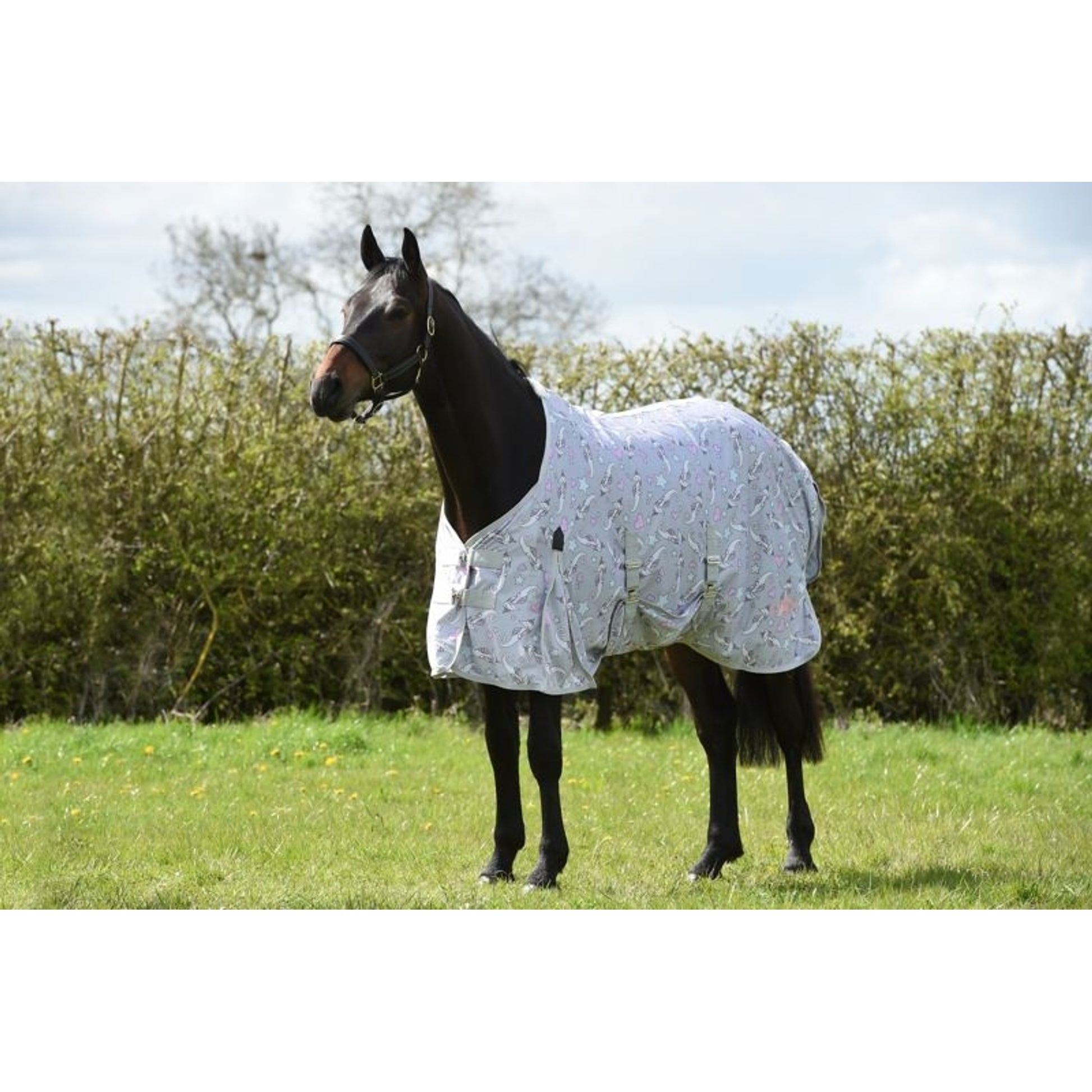 Saxon Mesh Fly Sheet Standard Neck