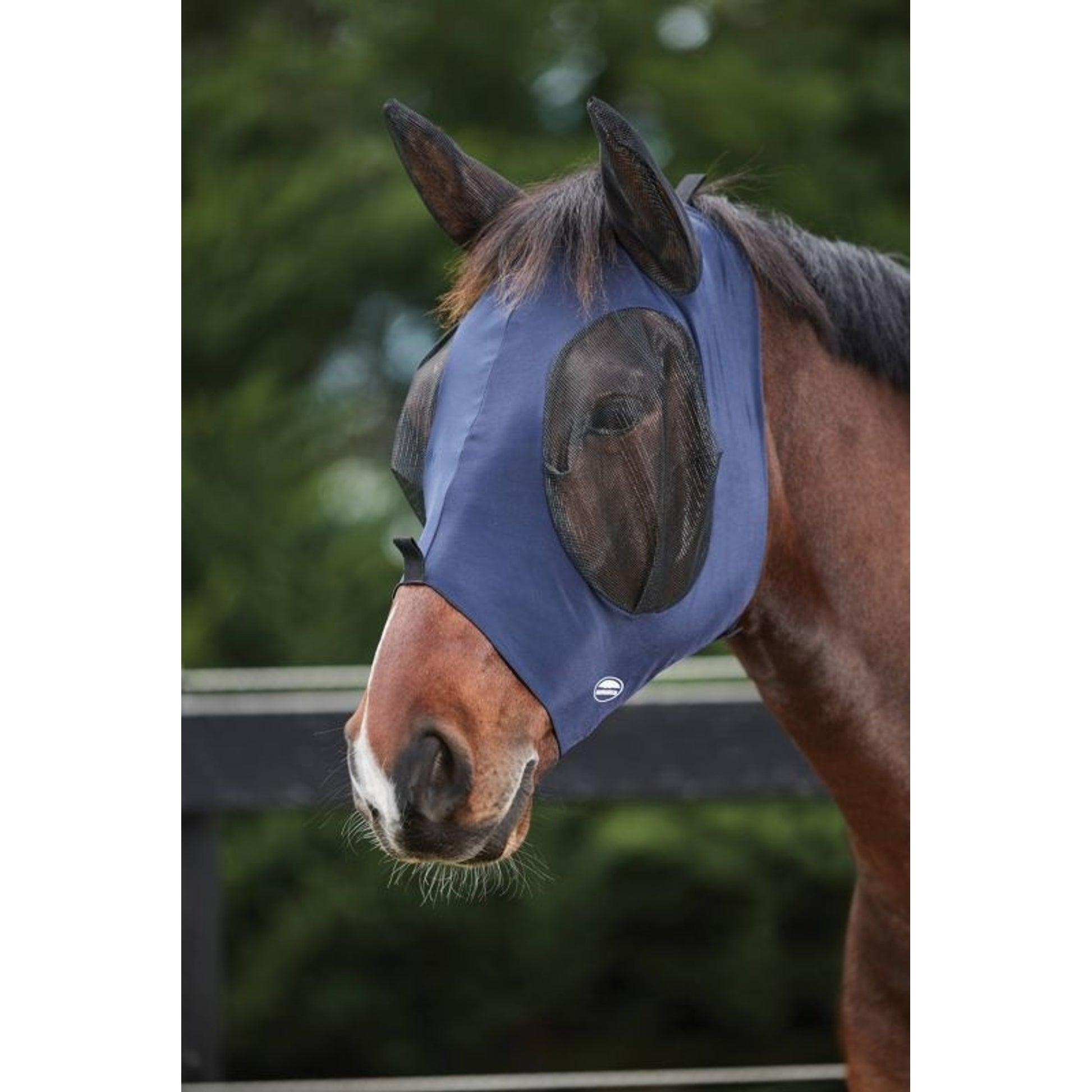 Weatherbeeta Deluxe Stretch Bug Eye Saver With Ears