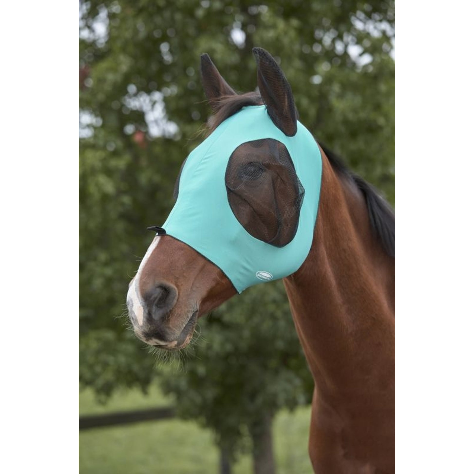 Weatherbeeta Deluxe Stretch Bug Eye Saver With Ears