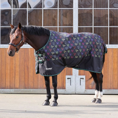Shires Tempest Original Lite TO