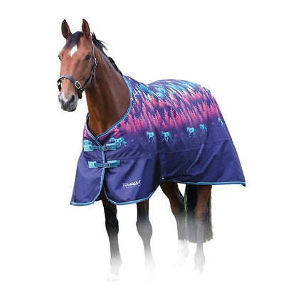 Shires Tempest Original Lite TO