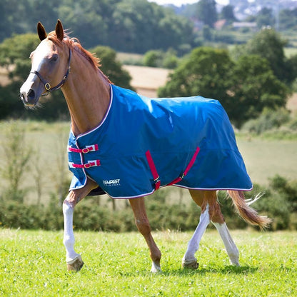 Shires Tempest Original Lite TO