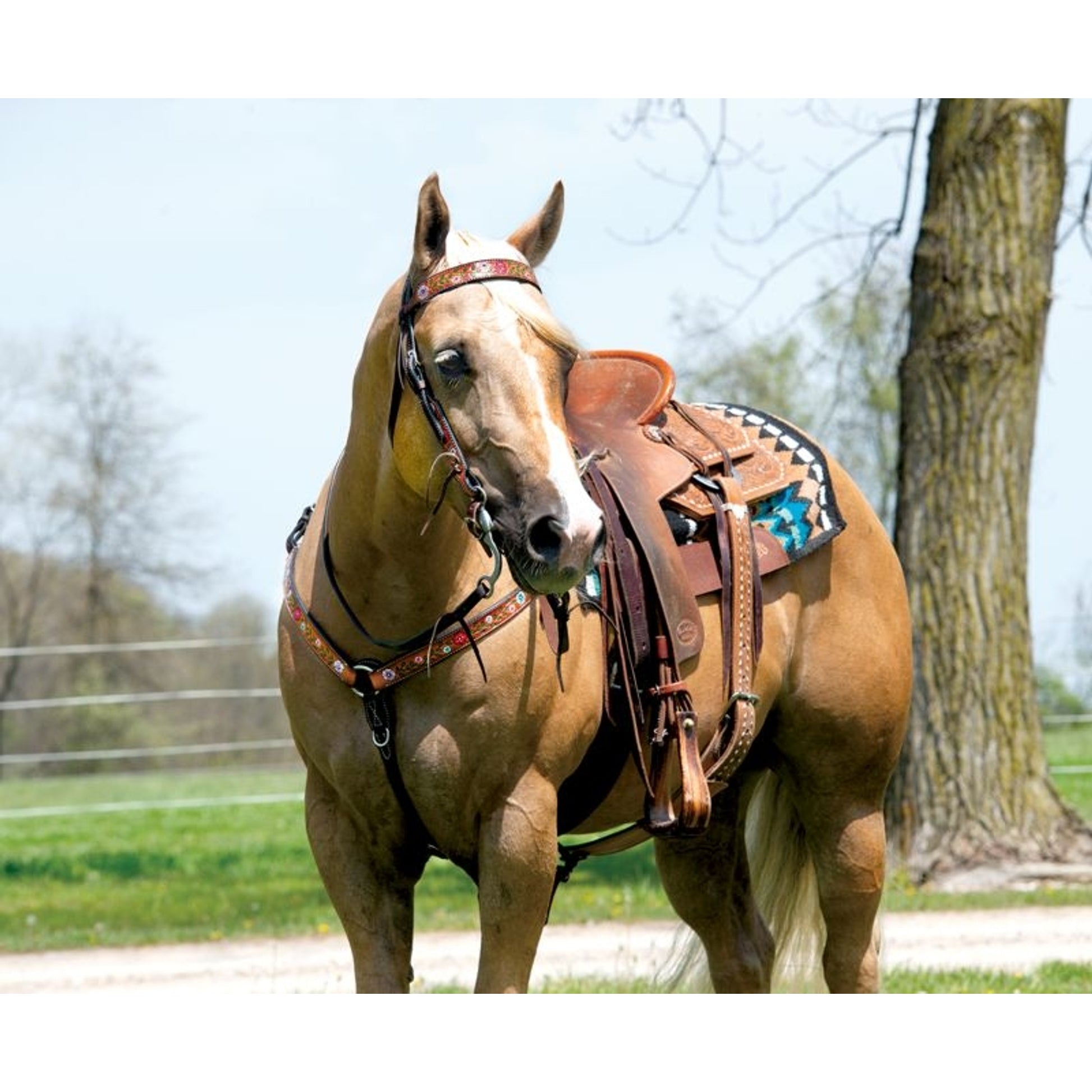 Weaver Turq Cross Floral Vine Breast Collar