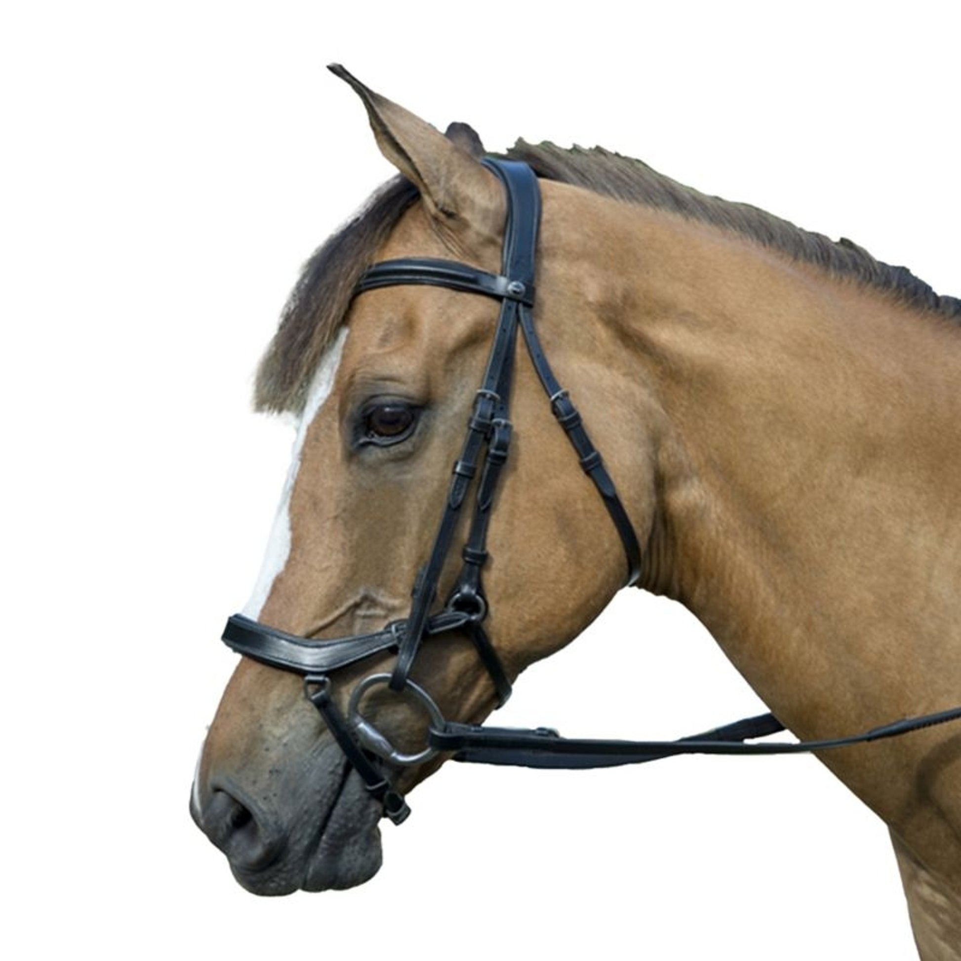 Henri de Rivel Pro Anatomical Bridle