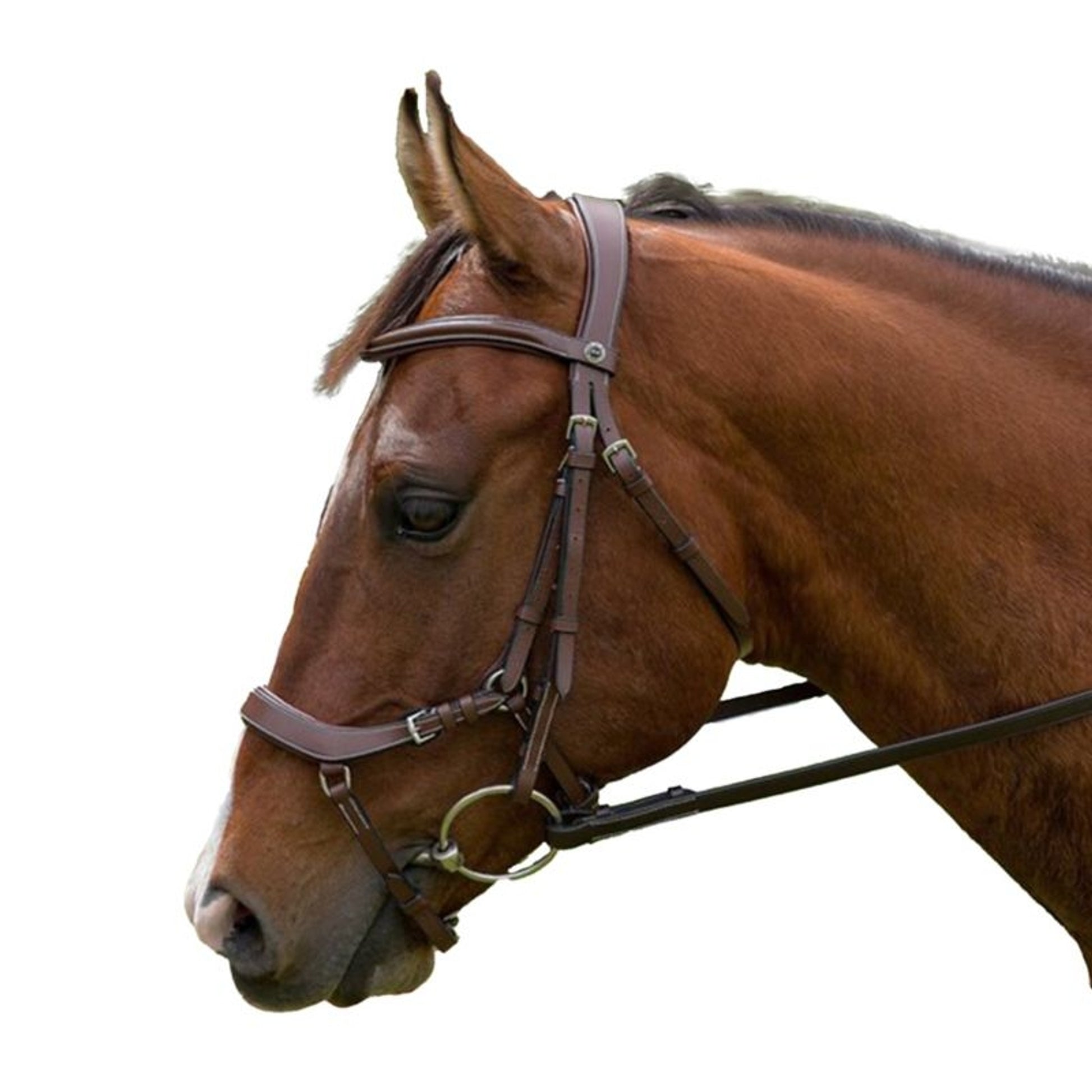 Henri de Rivel Pro Anatomical Bridle
