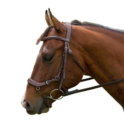 Henri de Rivel Pro Anatomical Bridle