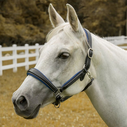 HDR Cahill Padded Halter