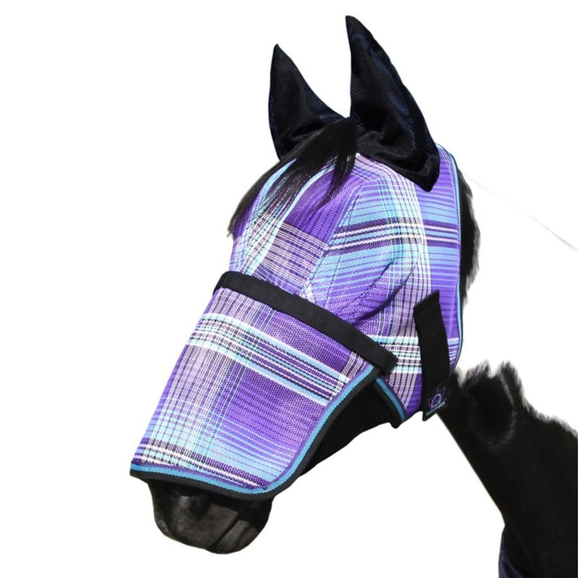 Kensington Mask with Nose and Ears