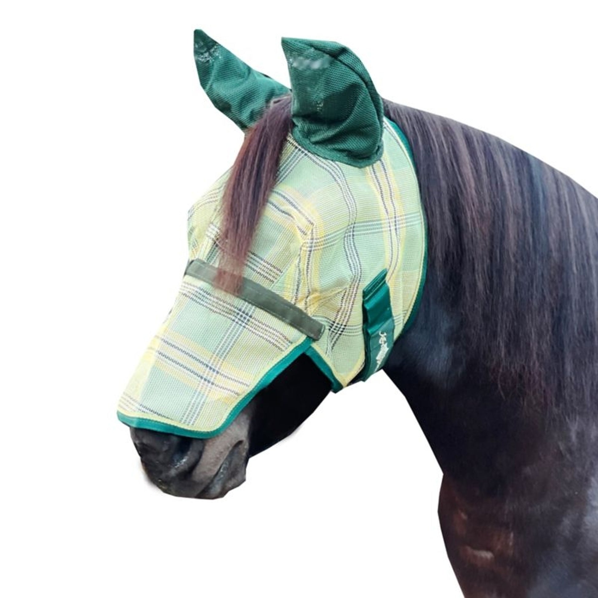 Kensington Mask with Nose and Ears