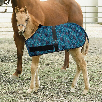 Kensington 1200D Foal Turnout 180g