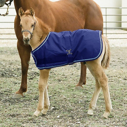 Kensington 1200D Foal Turnout 180g