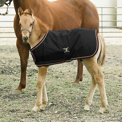 Kensington 1200D Foal Turnout 180g