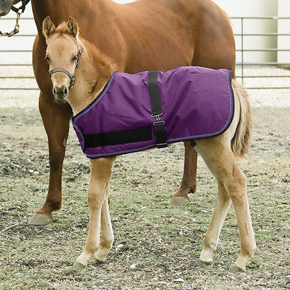 Kensington 1200D Foal Turnout 180g