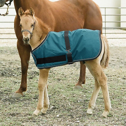 Kensington 1200D Foal Turnout 180g