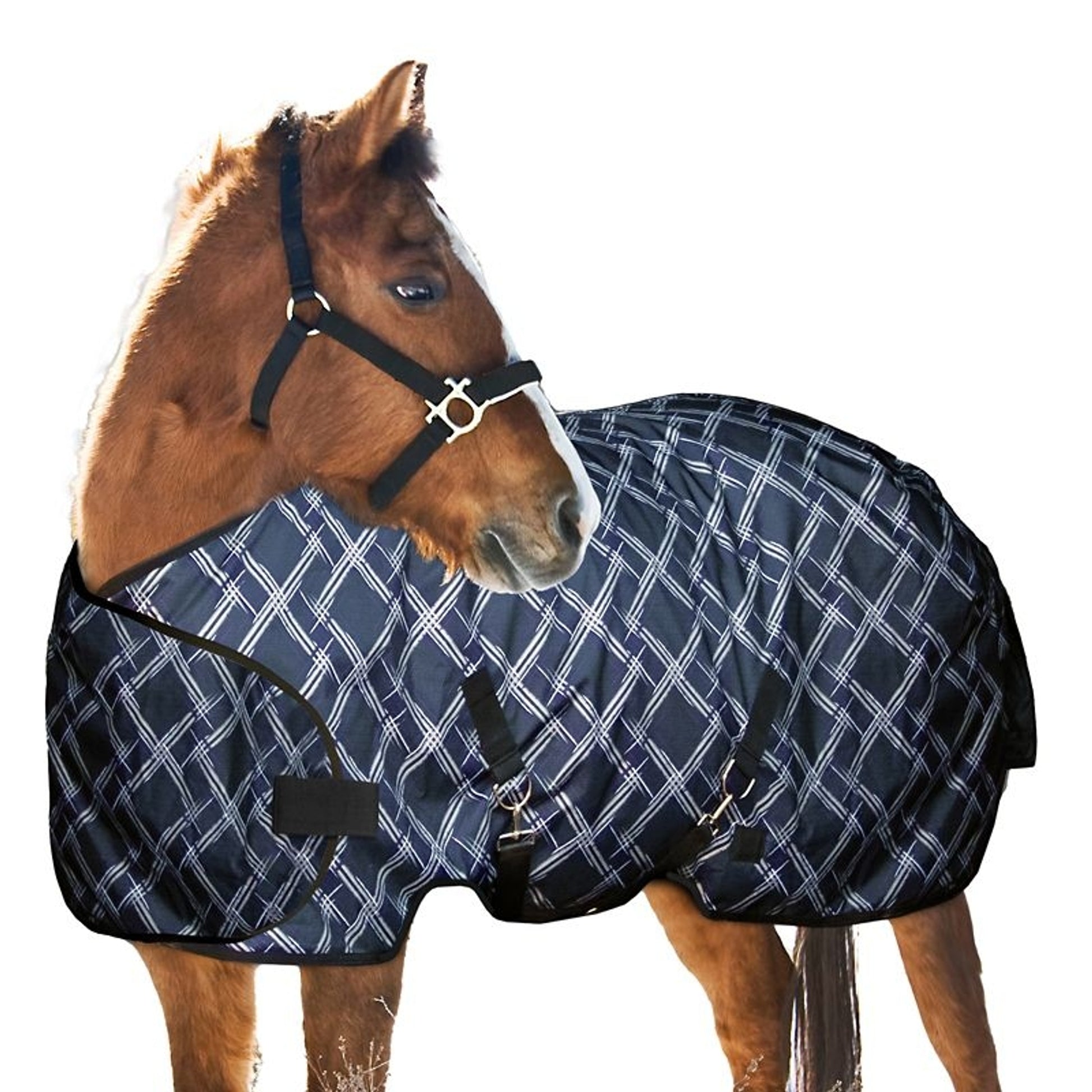 Kensington 1200D Weanling Turnout 180g