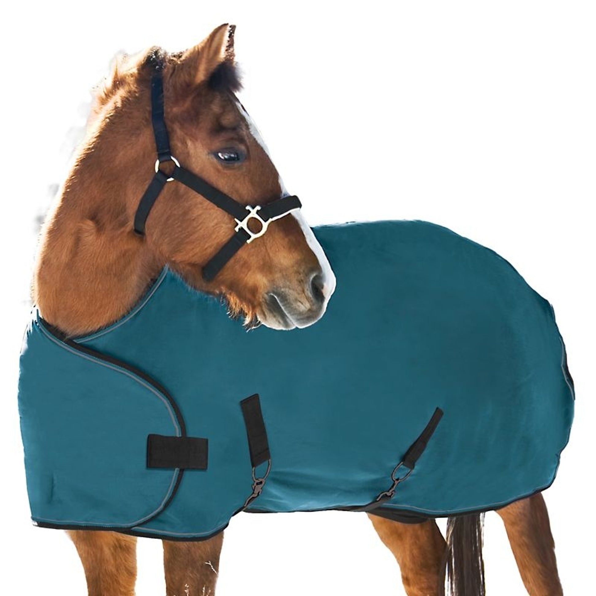 Kensington 1200D Weanling Turnout 180g