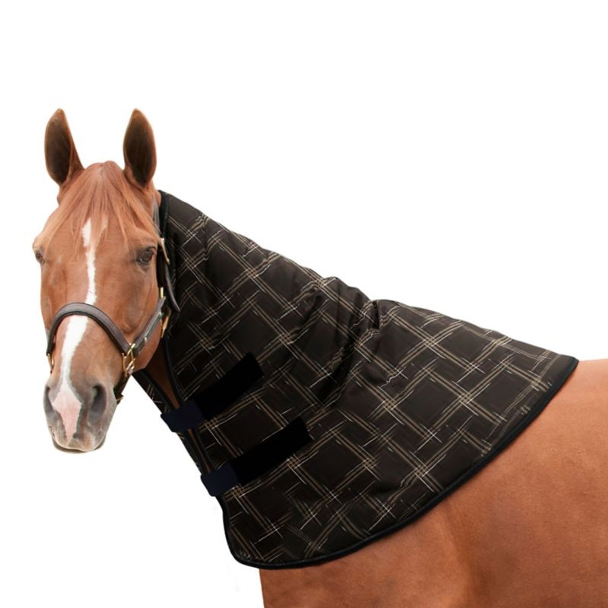 Kensington Neck Warmer 180G
