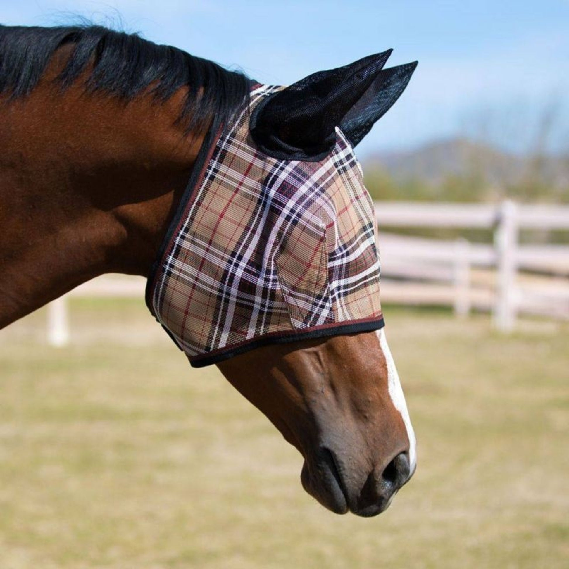 Kensington Fly Mask Web Trim/Ears