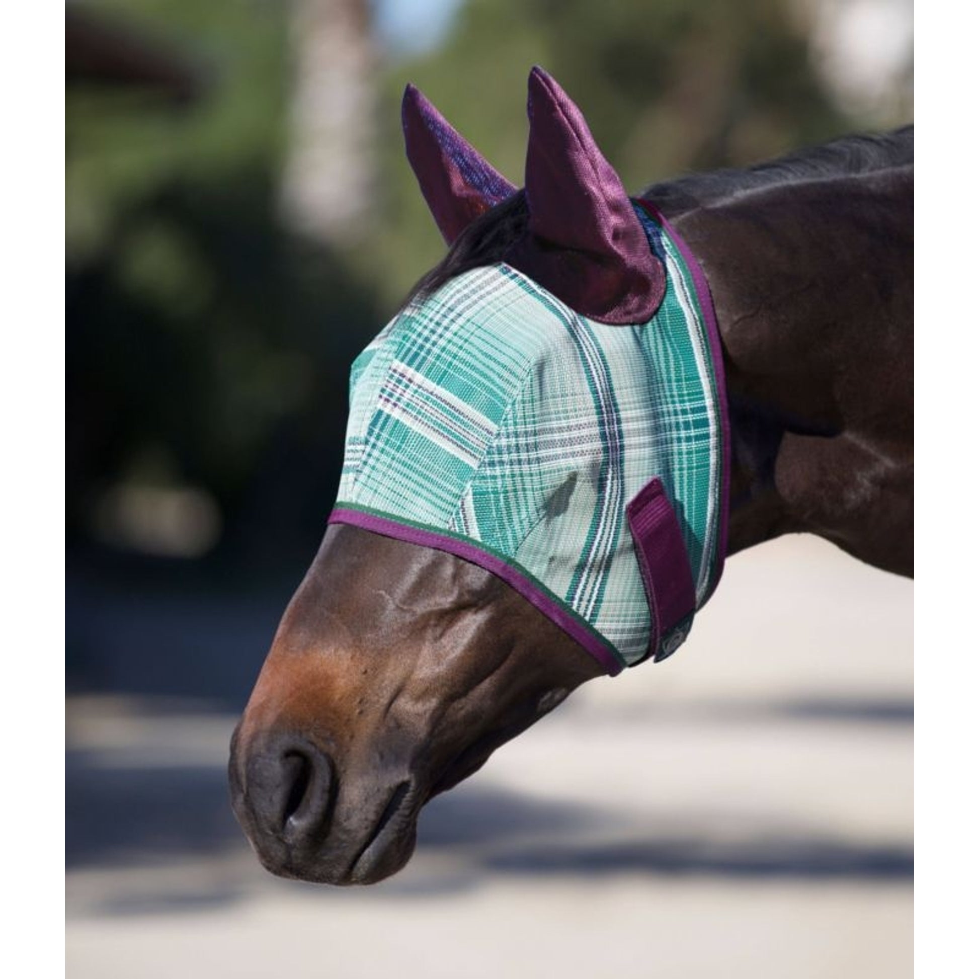 Kensington Fly Mask Web Trim/Ears