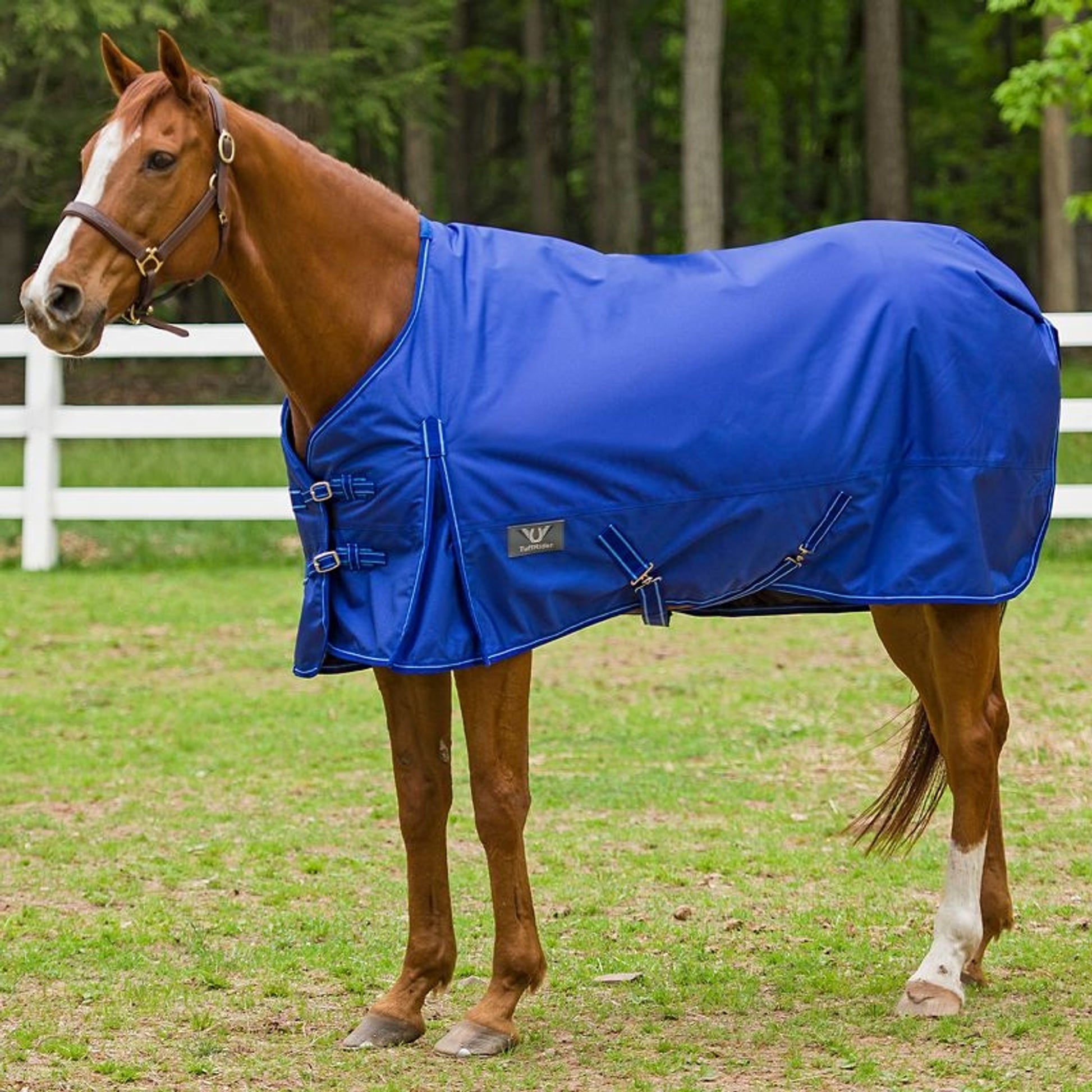 TuffRider 1680D Super Comfy Medium