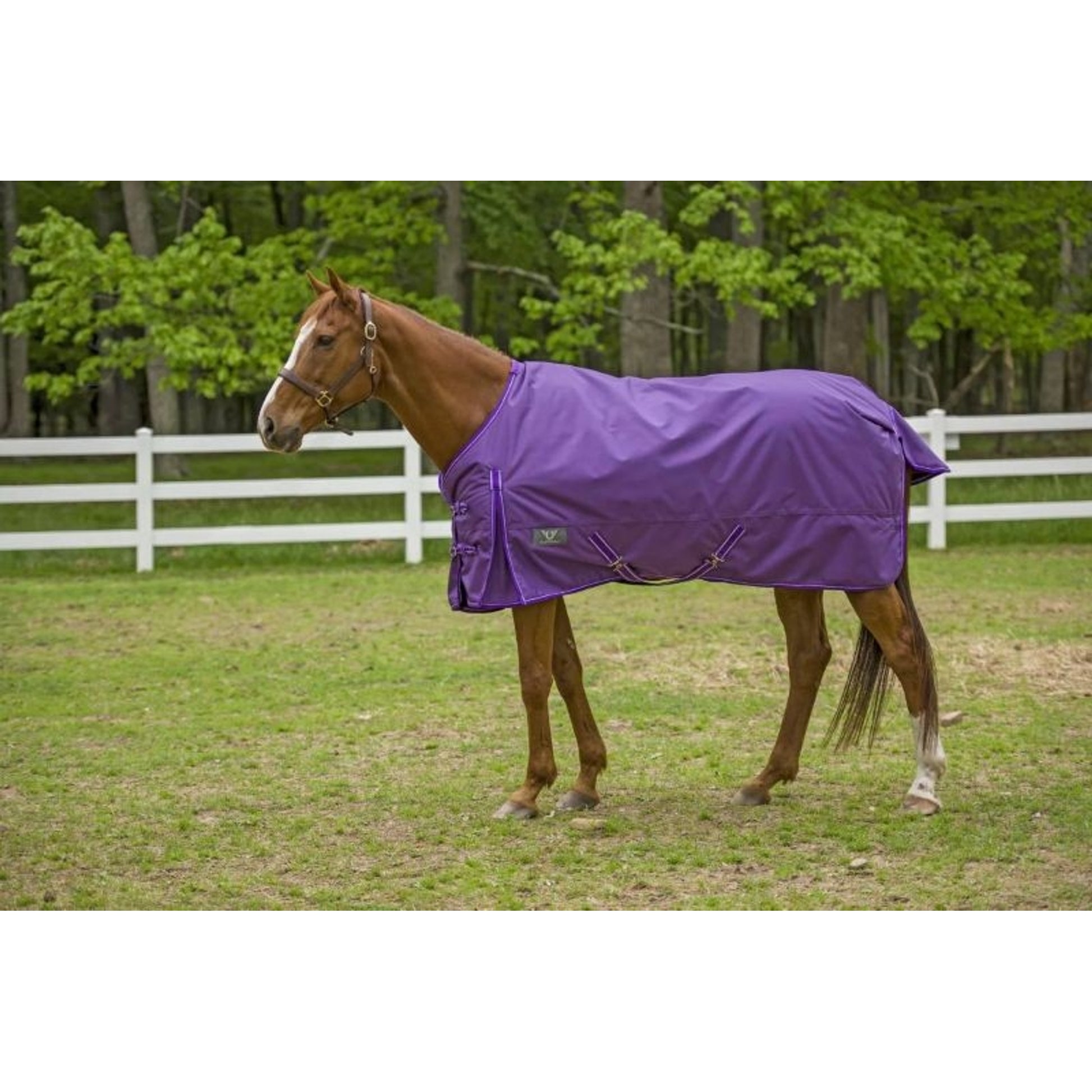 TuffRider 1680D Super Comfy Medium