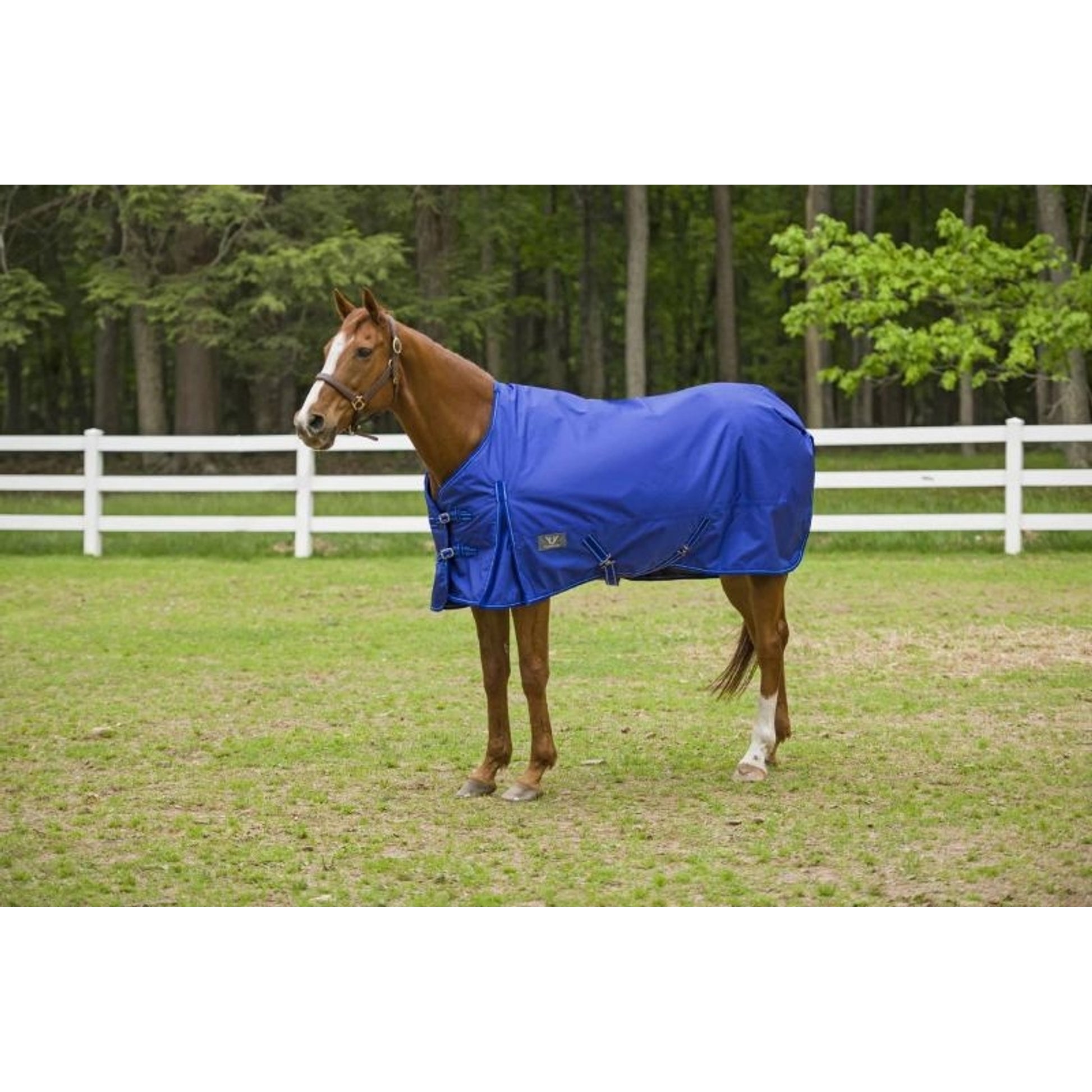 TuffRider 1680D Super Comfy Medium