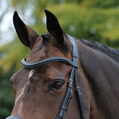 Collegiate Comfitec Vogue Bridle