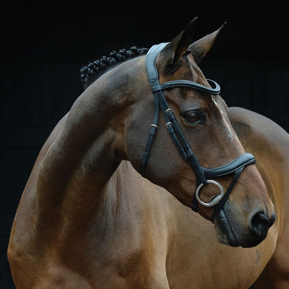 Collegiate Comfitec Vogue Bridle