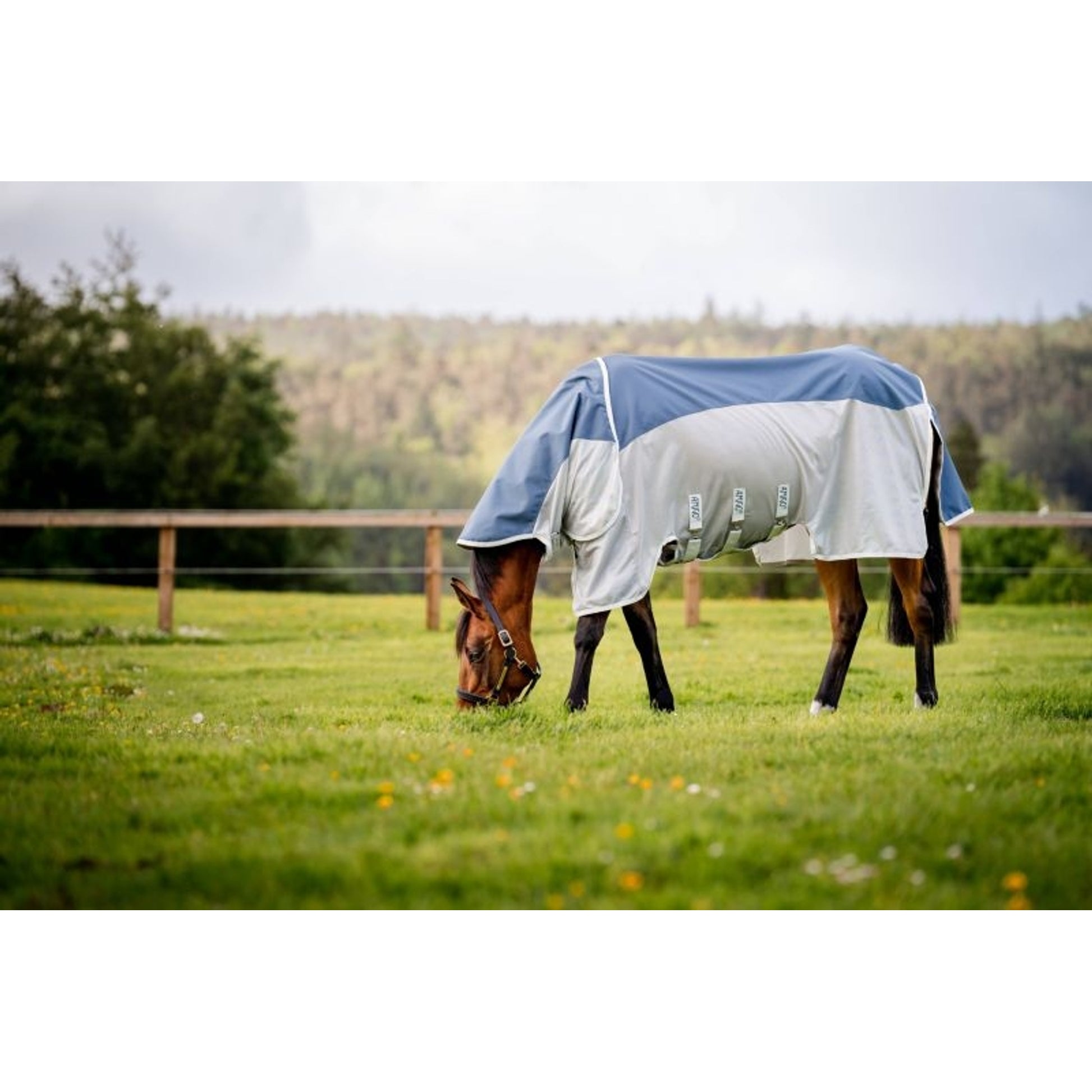 Horseware Amigo Ameco Combi Fly Sheet