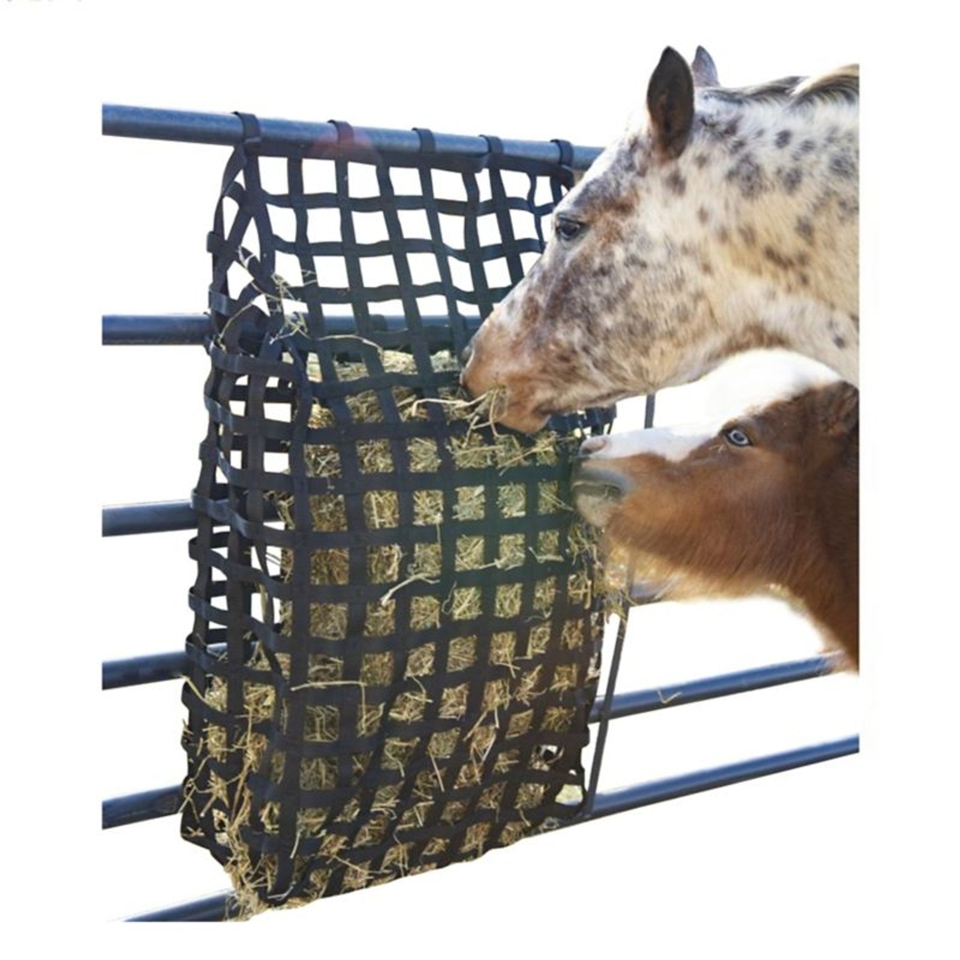 Tough1 Web Gate Feeder